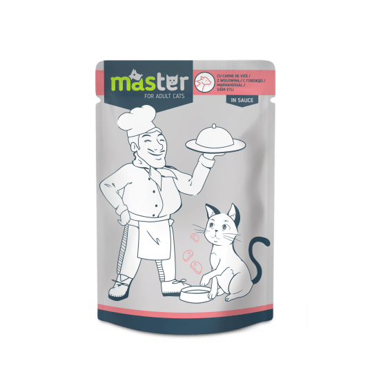 MASTER MOUSSE 80GR - SABORES SURTIDOS - Imagen 2
