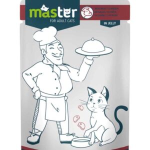 MASTER MOUSSE 80GR - SABORES SURTIDOS