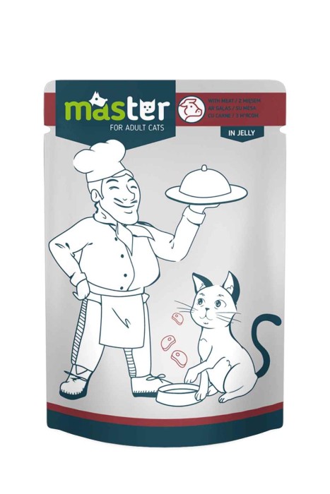 MASTER MOUSSE 80GR - SABORES SURTIDOS
